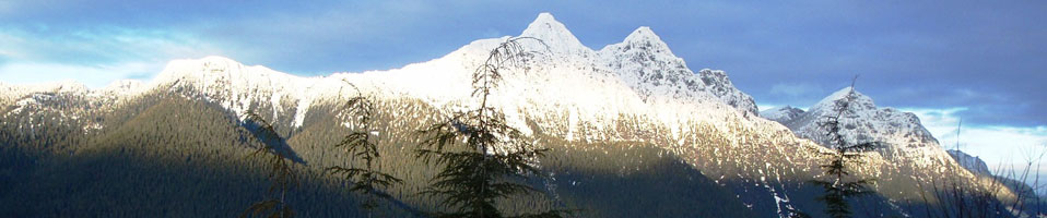 Onsite Engineering Ltd.