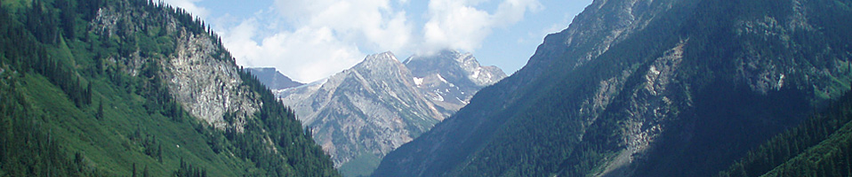 Onsite Engineering Ltd.