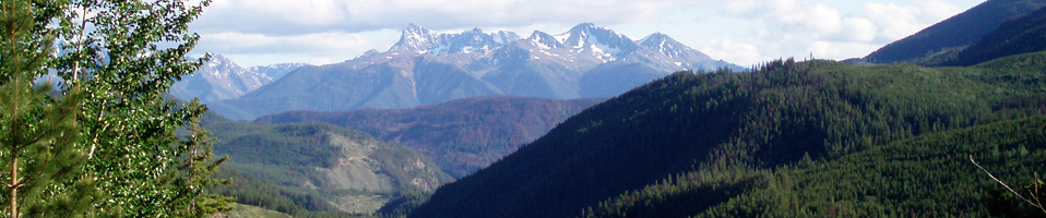 Onsite Engineering Ltd.