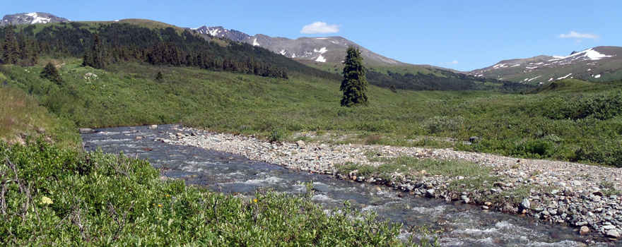 Capstone Mining Corp. - Kutcho Access Road Engineering