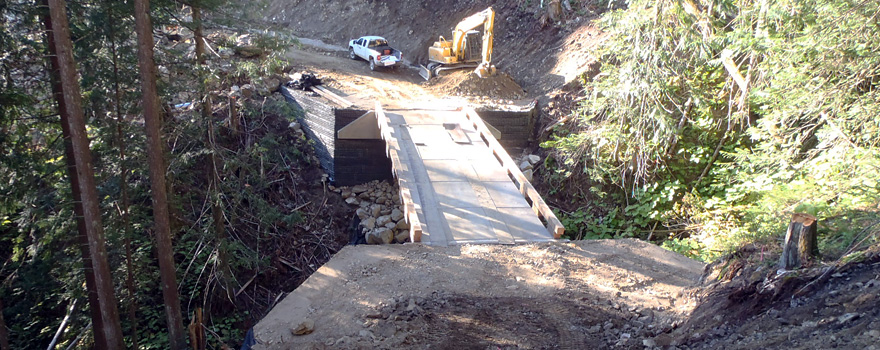 Canoe Forest Products Ltd. - Griffin Lake Forest Development (Three Valley Gap, BC)